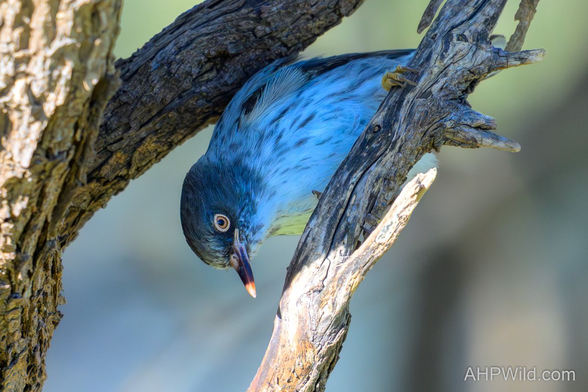 North-West QLD 2025 – Getting There