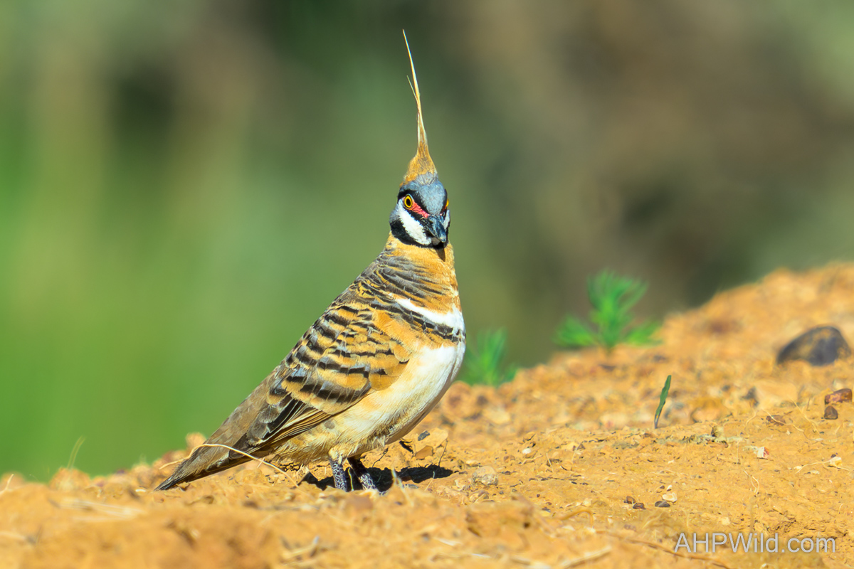 North-West QLD 2025 – Winton Day 1